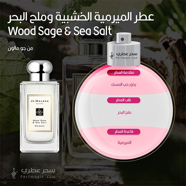 مكونات عطر عطر Wood Sage & Sea Salt