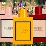 مراجعة إصدارات عطر قوتشي بلوم من قوتشي