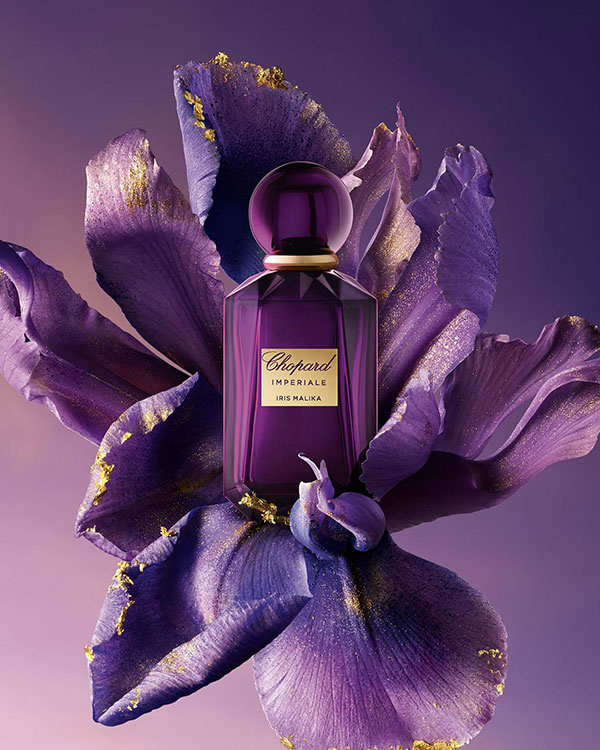 مكونات عطر ايريس مليكة