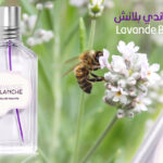 عطر لافاندي بلانش Lavande Blanche منL'Occitane en Provence
