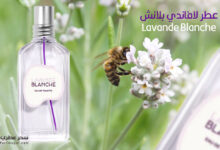 عطر لافاندي بلانش Lavande Blanche منL'Occitane en Provence