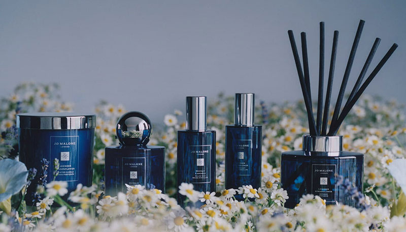 مجموعة ذا نايت The Night collection