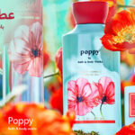 عطر بوبي Poppy من باث اند بودي ووركس