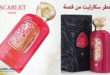 عطر سكارليت Scarlet من قصة - معطر للجسم والشعر