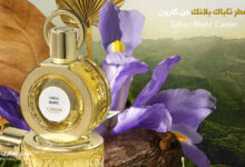عطر كارون تاباك بلانك Caron Tabac Blanc