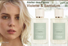 كلوي سانتالوم وكلوي فيوليت - عطور كلوي