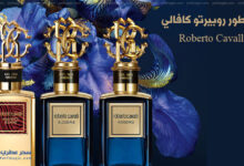 عطور روبيرتو كافالي (Bloodiris - Woodiris - MagneticGuaiac)