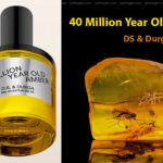 عطر 40 Million Year Old Amber من DS & Durga