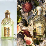 عطر أكوا أليغوريا فورتي نيروليا فيتيفر من جيرلان