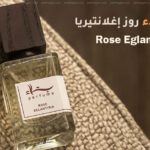 عطر بتلاء روز إغلانتيريا Rose Eglantiria