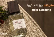 عطر بتلاء روز إغلانتيريا Rose Eglantiria