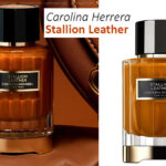 عطر كارولينا هيريرا ستاليون ليذر Stallion Leather