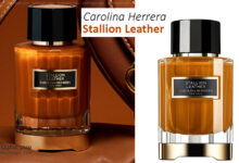 عطر كارولينا هيريرا ستاليون ليذر Stallion Leather