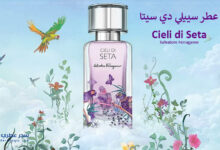 عطر سييلي دي سيتا Cieli di Seta من سلفاتور فيرغامو
