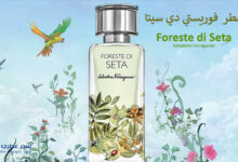 عطر فورستي دي سيتا Foreste di Seta من سلفاتور فيرغامو