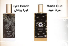 ليرا بيتش و مرفأ عود من ميمو باريس