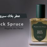 عطر بلاك سبروس Black Spruce - إصدار محدود من بلاك ريجيم دي فلور