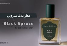 عطر بلاك سبروس Black Spruce - إصدار محدود من بلاك ريجيم دي فلور