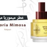 عطر ميموريا ميموزا - عطر الذكريات الذهبية بلمسة الميموزا الآسرة