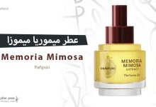 عطر ميموريا ميموزا - عطر الذكريات الذهبية بلمسة الميموزا الآسرة