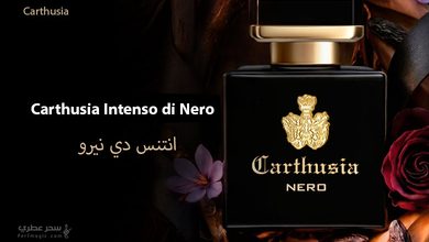 Carthusia Intenso di Nero عطر العود والزعفران