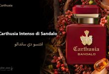 Carthusia Intenso di Sandalo عطر خشبي جديد من مجموعة Intenso