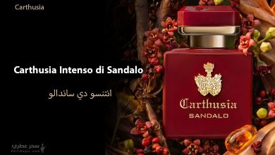 Carthusia Intenso di Sandalo عطر خشبي جديد من مجموعة Intenso
