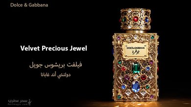 Dolce & Gabbana Velvet Precious Jewel عطر محدود من مجموعة فيلفت