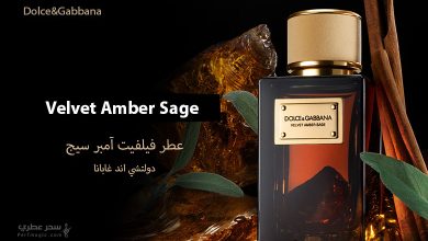 عطر Dolce&Gabbana Velvet Amber Sage مكونات العطر وسعره
