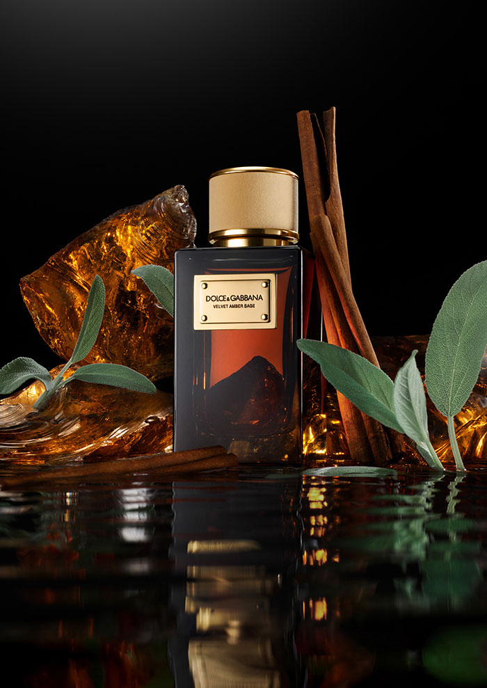مكونات عطر Dolce&Gabbana Velvet Amber Sage